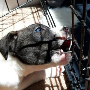 Meet your Posher, Justus